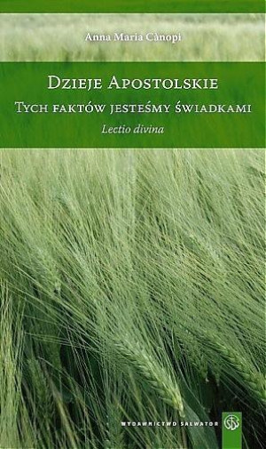Dzieje apostolskie Tych faktów jesteśmy świadkami Lectio divina