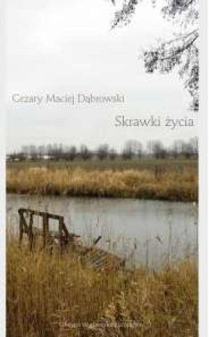 Skrawki życia