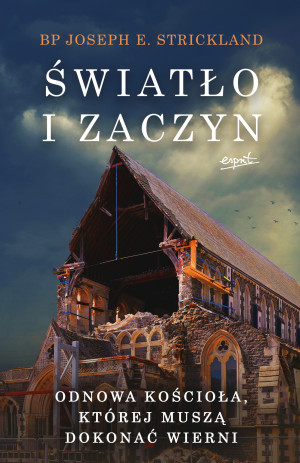 Światło i zaczyn Odnowa Kościoła, której muszą dokonać wierni