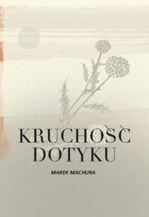 Kruchość dotyku
