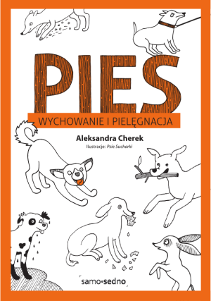 Pies Wychowanie i pielęgnacja