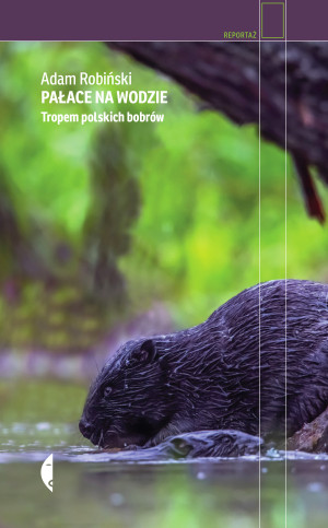 Pałace na wodzie Tropem polskich bobrów