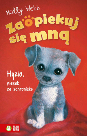 Zaopiekuj się mną Hyzio, piesek ze schroniska