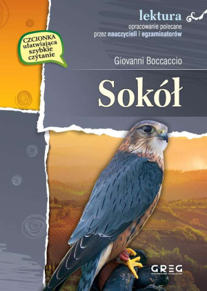 Sokół wydanie z opracowaniem i streszczeniem