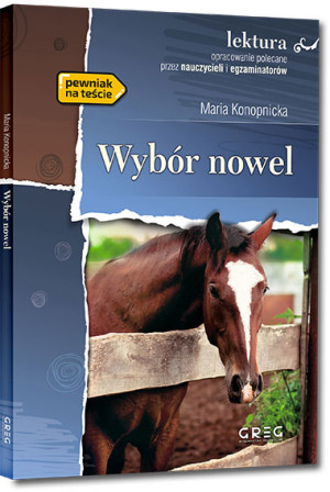 Wybór nowel Wydanie z opracowaniem