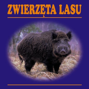 Zwierzęta lasu