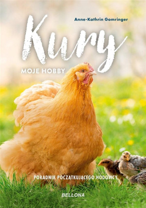 Kury moje hobby Poradnik początkującego hodowcy