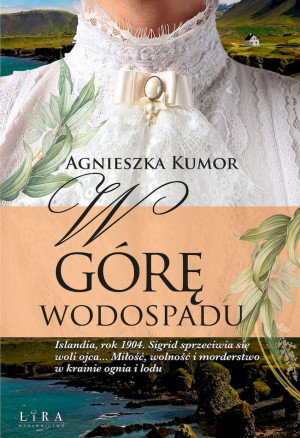 W górę wodospadu