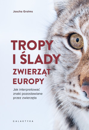 Tropy i ślady zwierząt Europy. Jak interpretować znaki pozostawiane przez zwierzęta