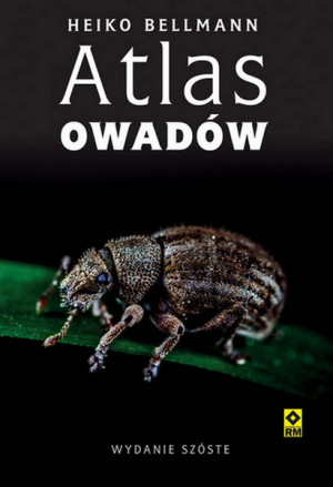 Atlas owadów wyd. 2025