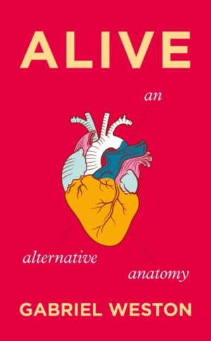 Alive wer. angielska