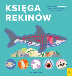 Księga rekinów. Encyklopedia z folią