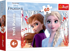 Puzzle 60 Zaczarowany świat Anny i Elsy Frozen 2 17333