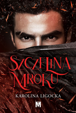 Szczelina mroku