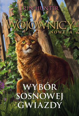 Wybór Sosnowej Gwiazdy