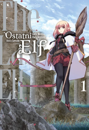 Ostatni Elf. Tom 1