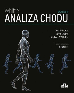 Analiza chodu