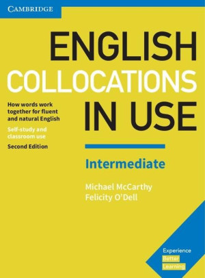 English Collocations in Use Advanced Book