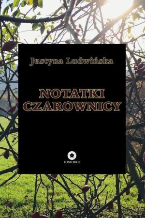 Notatki czarownicy
