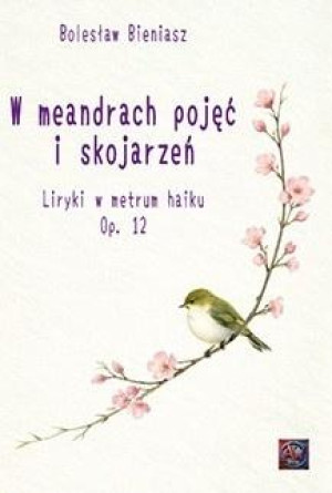 W meandrach pojęć i skojarzeń
