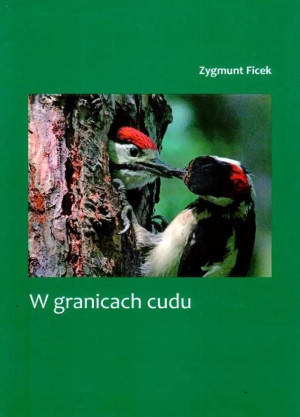 W granicach cudu