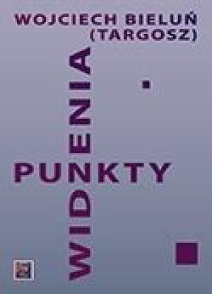 Punkt widzenia
