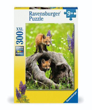 Puzzle 300 Curious Foxes