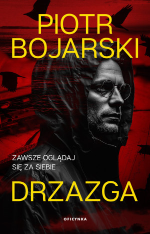 Drzazga