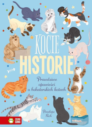 Kocie historie