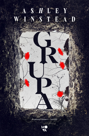 Grupa