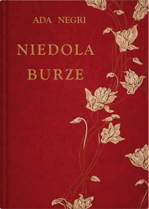 Niedola burze