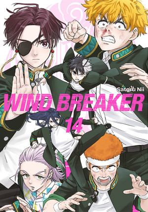 Wind Breaker. Tom 14