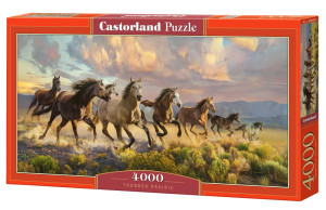 Puzzle 4000 Thunder Prairie C-400430-2