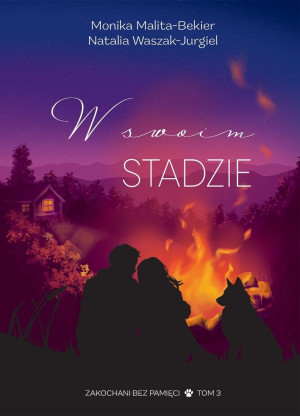 W swoim stadzie. Zakochani bez pamięci