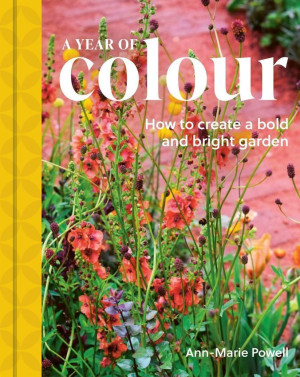 A Year of Colour