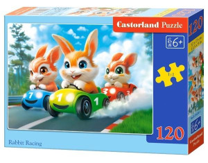 Puzzle 60 Rabbit Racing CASTOR