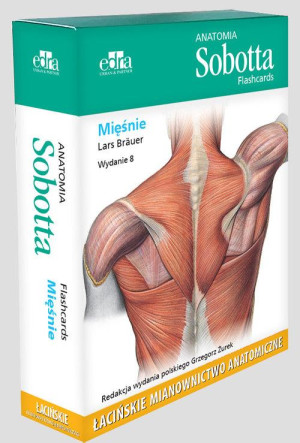 Anatomia Sobotta Flashcards. Mięśnie. Łacińskie mianownictwo anatomiczne