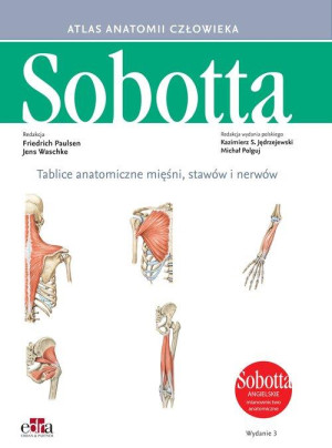 Atlas anatomii człowieka Sobotta. Tablice anatomiczne mięśni, stawów i nerwów. Angielskie mianownictwo