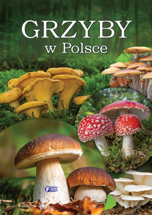 Grzyby w Polsce