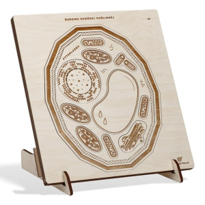 Puzzle drewniane Budowa komórki roślinnej
