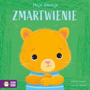 Zmartwienie. Moje emocje