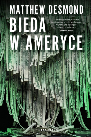 Bieda w Ameryce