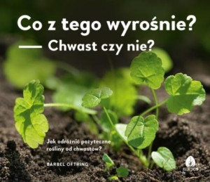 Co z tego wyrośnie? Chwast czy nie? Jak odróżnić pożyteczne rośliny od chwastów?