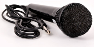 Standard Mikrofon 6,3mm Klinke