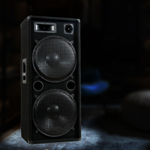 1500W PA Lautsprecherbox, 3-Wege, 2x 38 cm Bass, schwarz