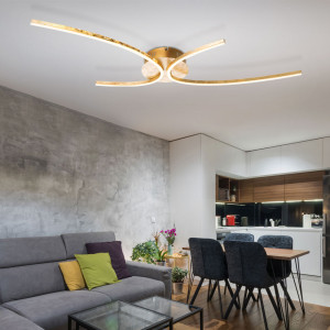 Luxus 30 Watt LED Deckenleuchte für Ihren Wohnraum NIKA