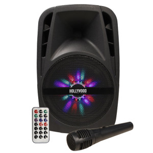 300W PA Musikanlage, USB/SD, Bluetooth, Mikrofon, Party-Licht