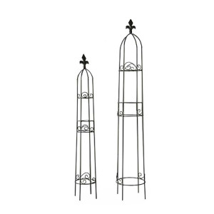 2er Set Rankhilfen, Eisen pulverbeschichtet H 71/89 cm