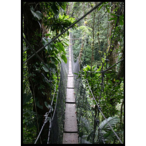 Gerahmtes Bild, Jungle Motiv, Gerahmt, H 140 cm