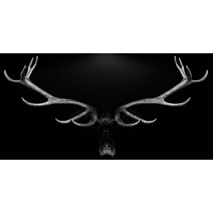 Deko-Panel, Motiv Deer antlers, L 100 cm